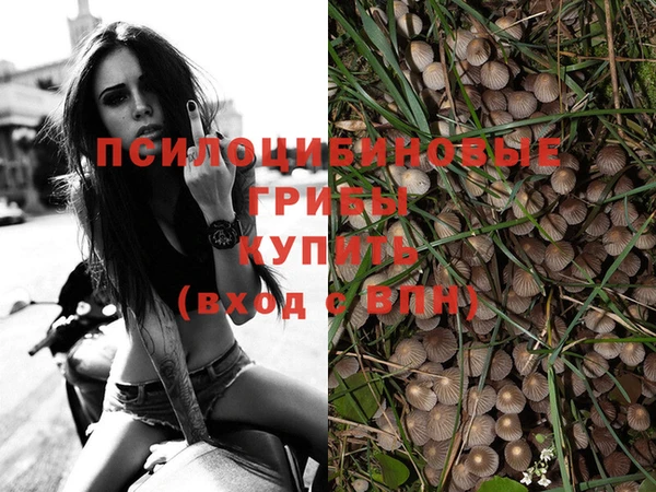 прущие грибы Лихославль