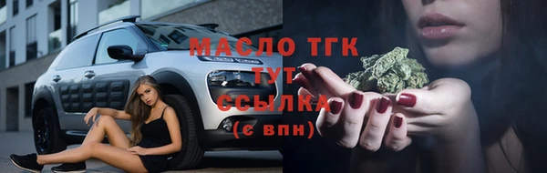 гашик Липки