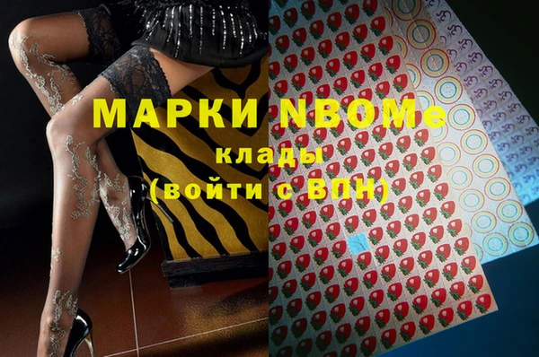 прущие грибы Долгопрудный