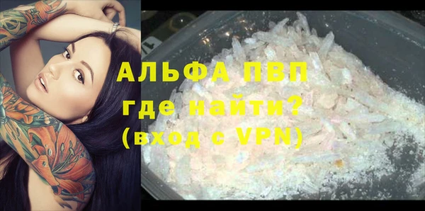 гашик Липки
