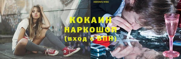 гашик Липки