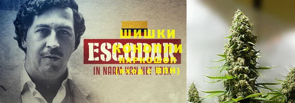 прущие грибы Лихославль