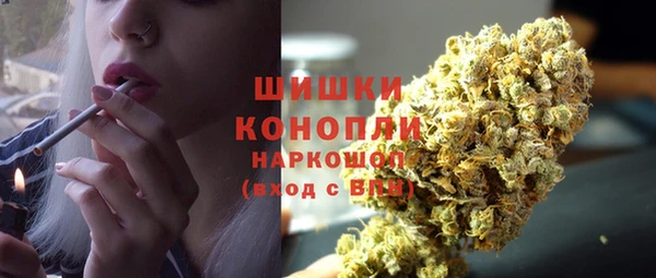 прущие грибы Лихославль