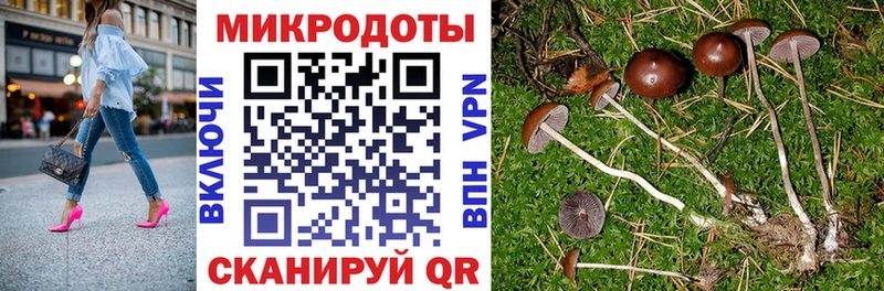 darknet какой сайт  Духовщина  OMG tor  Галлюциногенные грибы Psilocybine cubensis  купить наркотик 